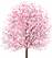 桜 イラスト 無料 かわいい に対する画像結果